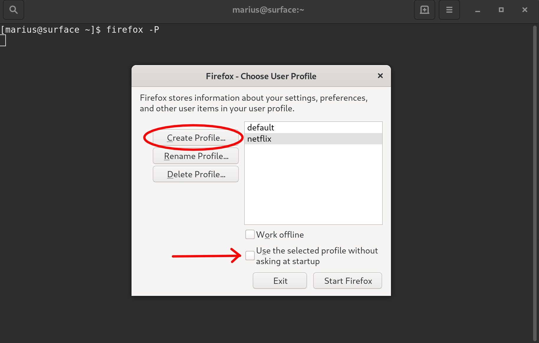 Wir sehen den Firefoxprofilemanager mit zwei Profilen, eines ist benannt: Netflix 